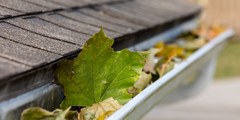 Expert Cleaning and Repair for Your Gutters