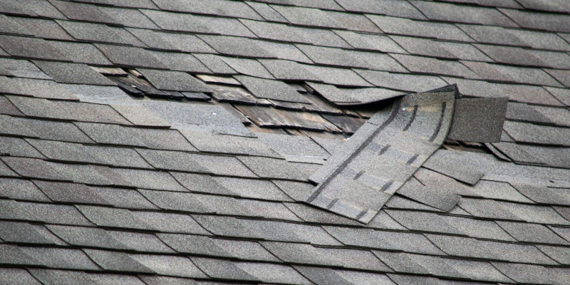 How Shingle Roofing Inspections Can Save Your Money